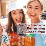 Travel Pack Probiotics Kombucha Instant Powder - mixed berries flavor