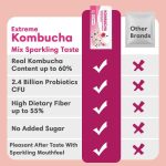 Travel Pack Probiotics Kombucha Instant Powder - mixed berries flavor