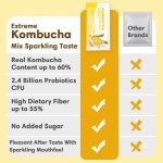 Travel Pack Probiotics Kombucha Instant Powder - Pineapple Flavor