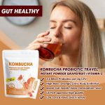 Travel Pack Probiotics Kombucha Instant Powder- Grapefruit Vitamin C flavor